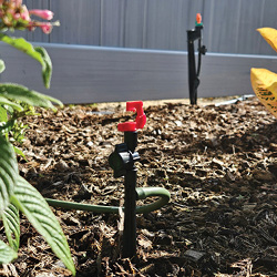 Picture of 7" BLK MICRO BARB STK W/VALVE-3/3 Pack
